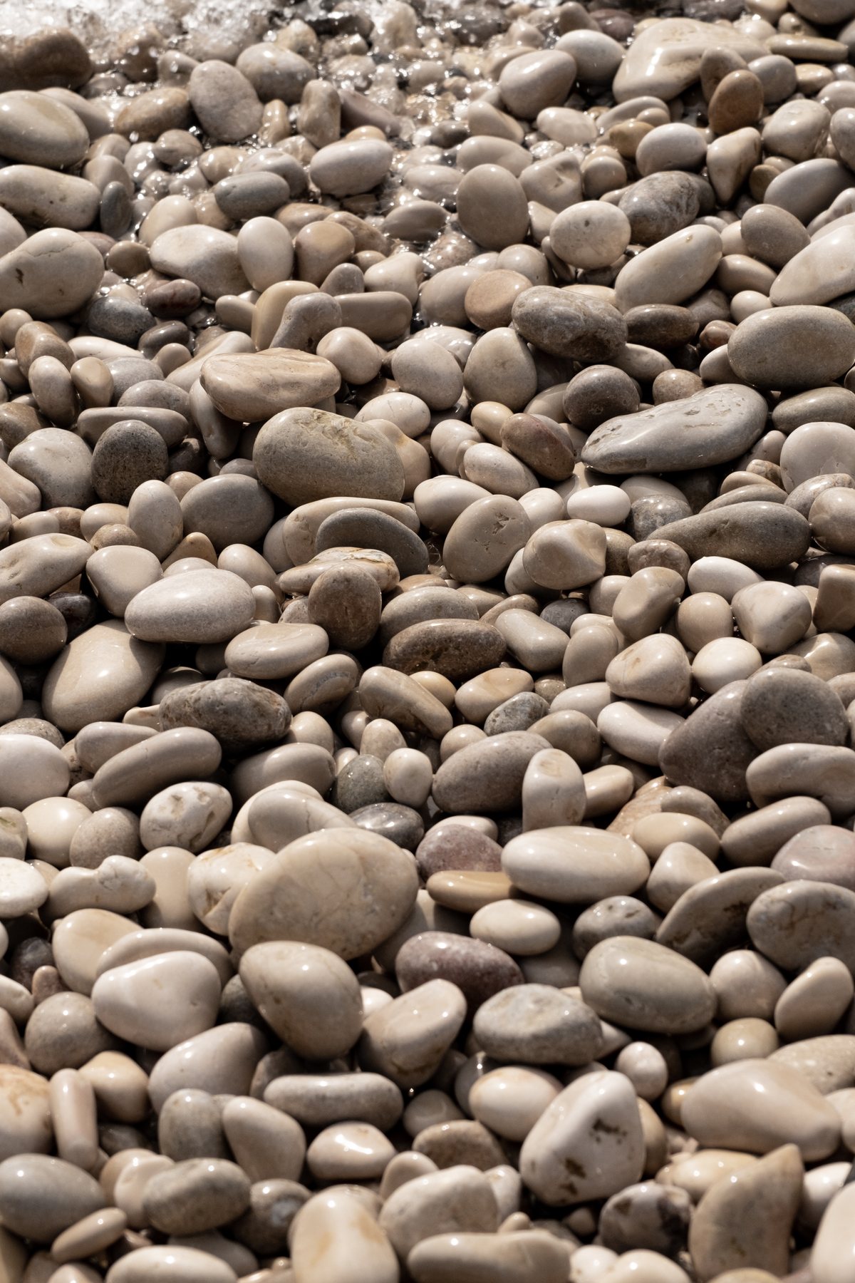 Close-up of the smooth white pebbles of the beach, wet from the sea.